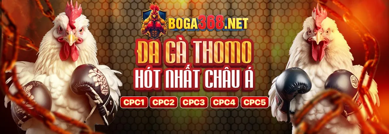 Phân tích ưu đãi c168b2
