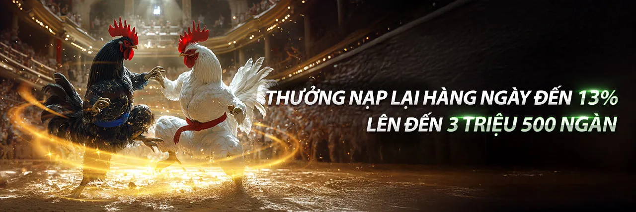 Chương trình đối tác c168b2 - Cơ hội kiếm tiền hấp dẫn